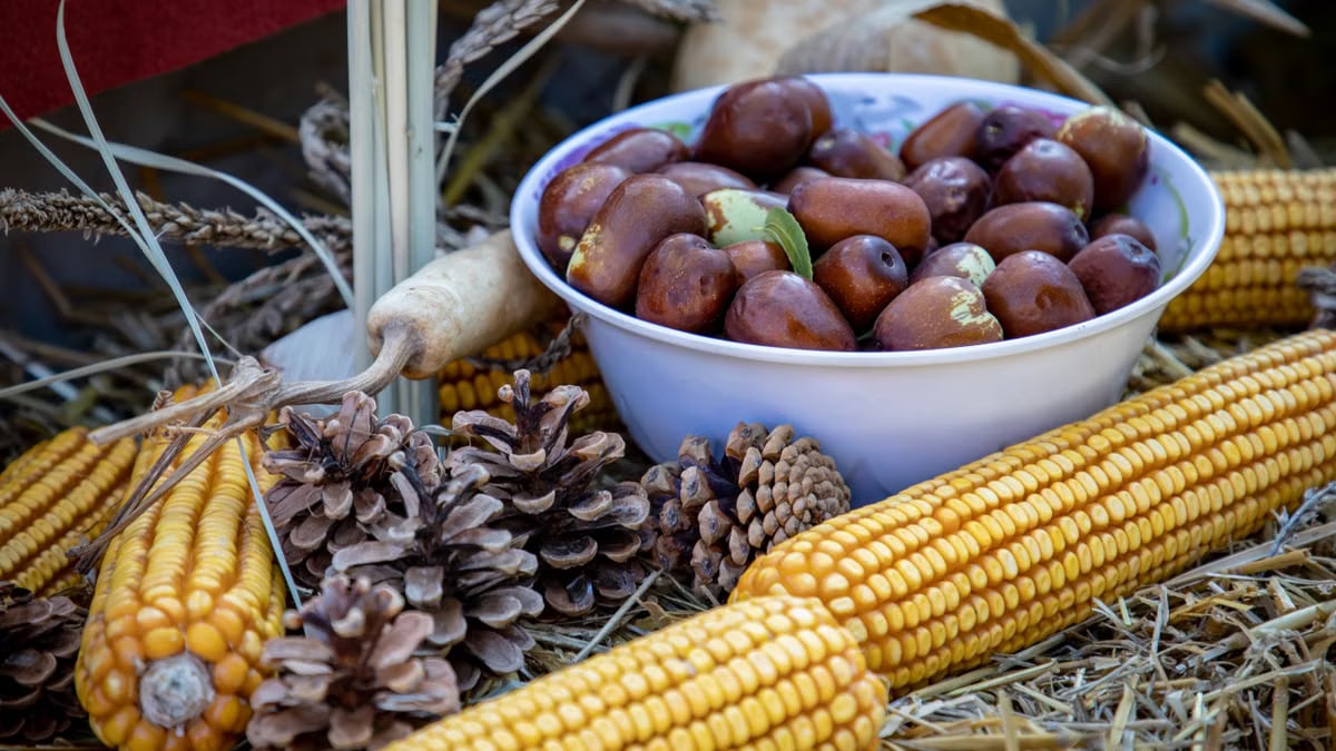 A rustic autumn arrangement featuring corn, nuts, and pinecones, ideal for seasonal displays.